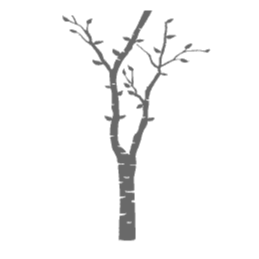 Aspen Nest